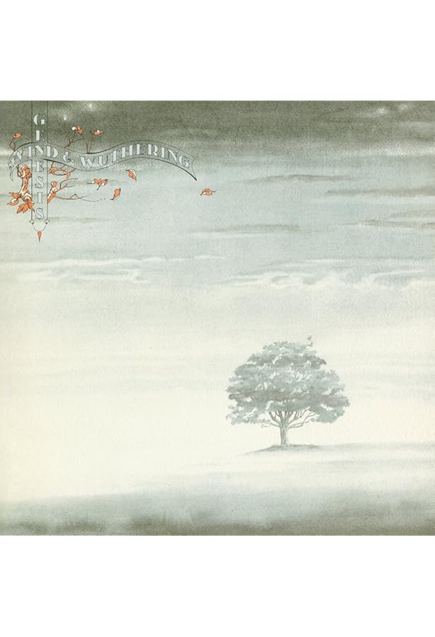Amazon.com: Wind & Wuthering: CDs & Vinyl
